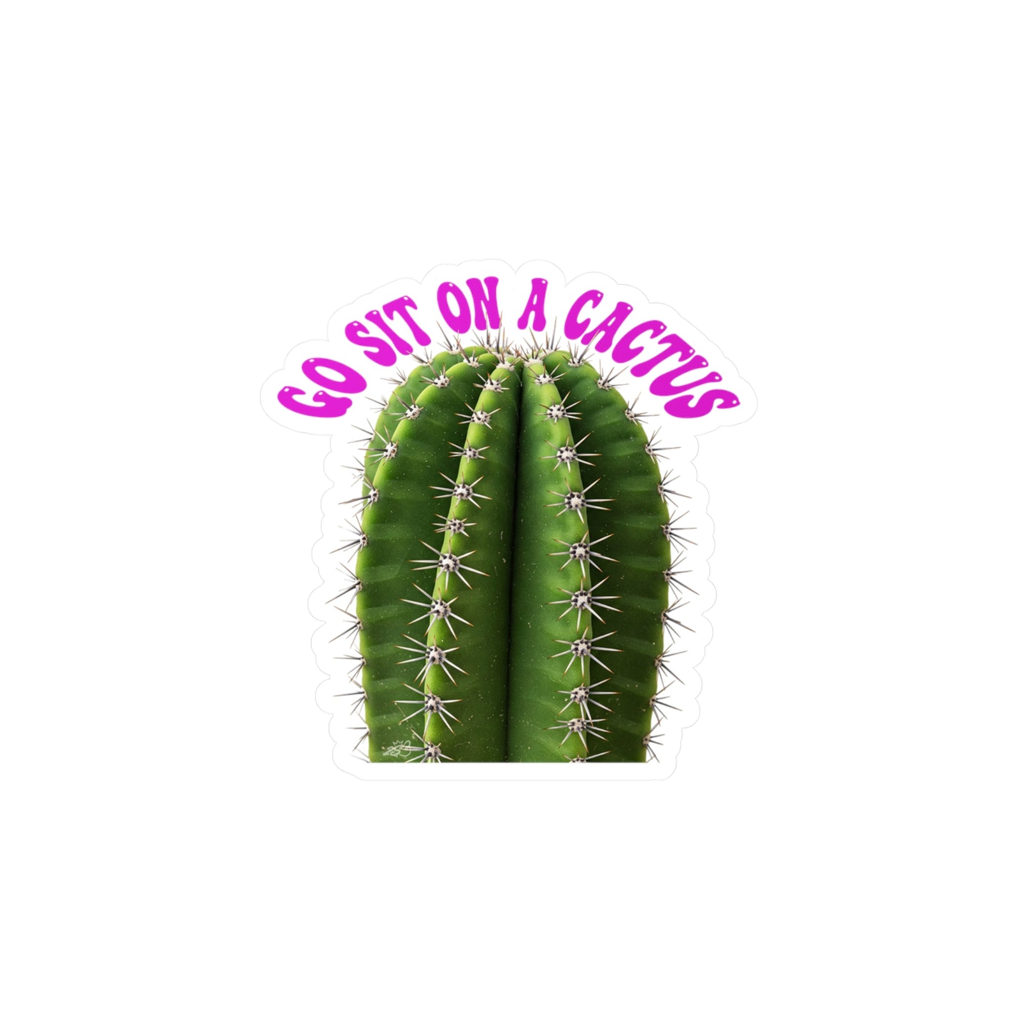 Go Sit On A Cactus Decal - Snarky Prickly Quote Kiss Cut Vinyl Sticker