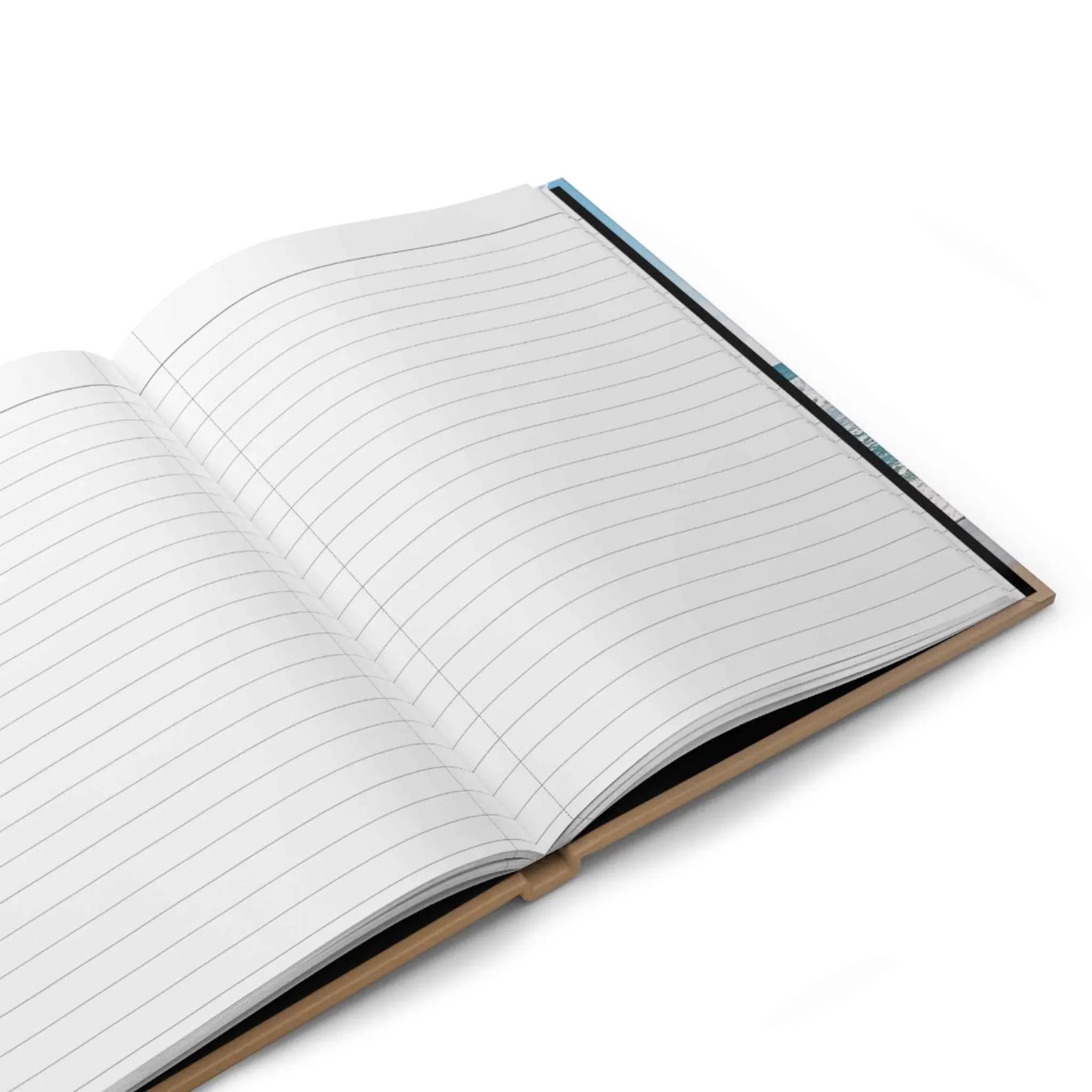 Why the Fuck Me: A No-Bullshit Gratitude Journal for Turning Chaos into Clarity- Stress Relief Diary, Mindfulness Journal - 2SB Snark Shop