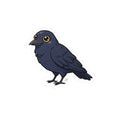Cute Cartoon Crow Kiss-Cut Vinyl Decal